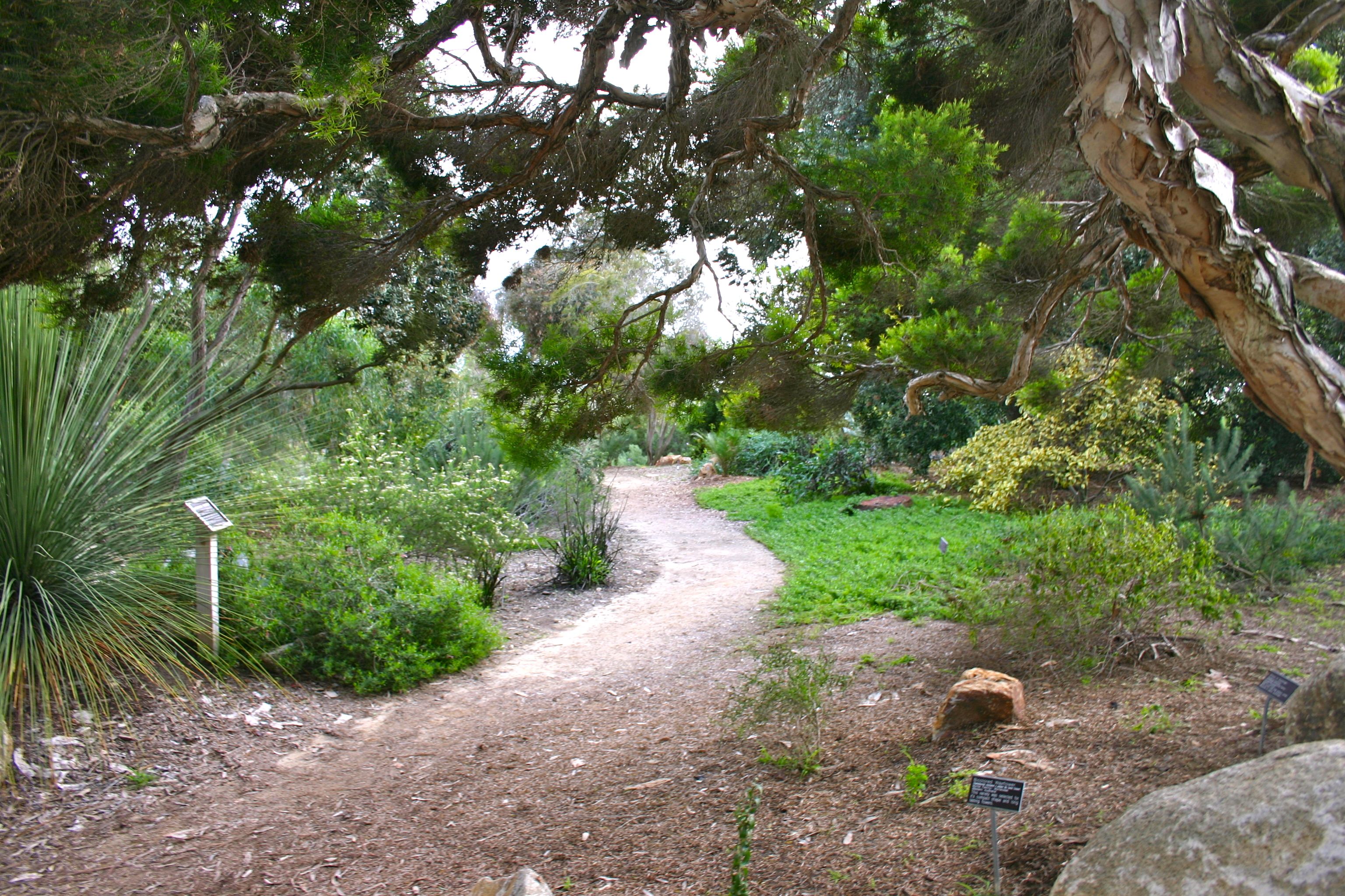  path through a garden